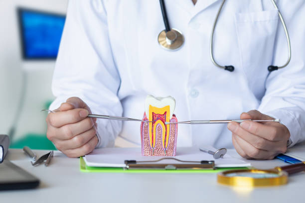Best Pediatric Emergency Dentist in Rogers, TX